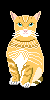 chats