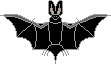 chauve-souris