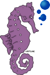 hippocampe