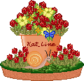 Pot