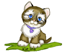 chaton