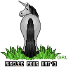 ane